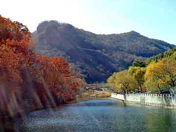 管家婆黑白马报图库，鬼叫声